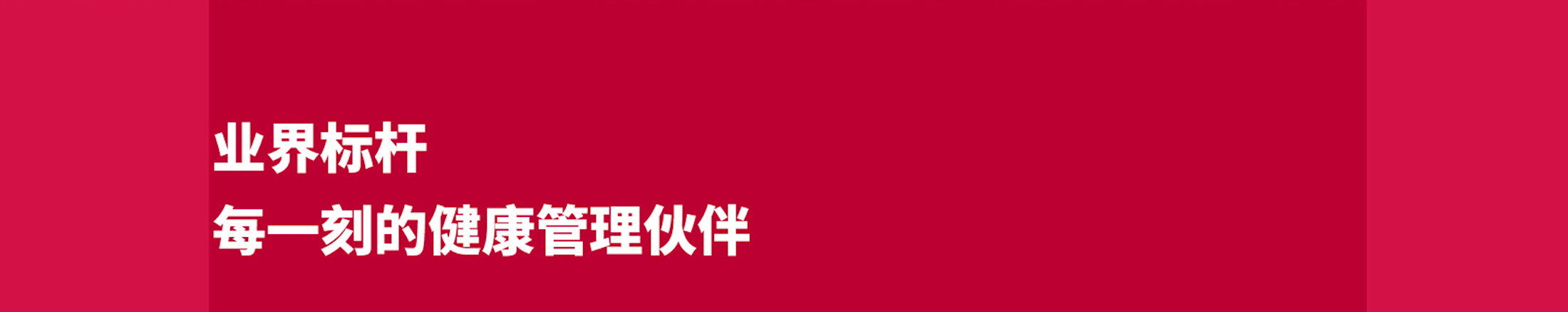 业界标杆